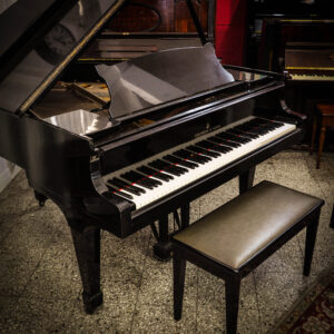 Steinway and Sons 1/4 de cola (2)