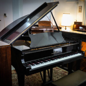 Steinway and Sons 1/4 de cola (2) 9