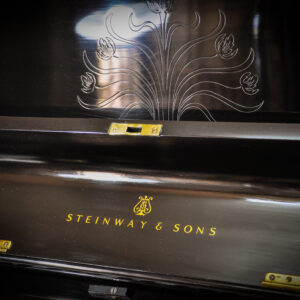 Steinway and sons Vertegrand 8