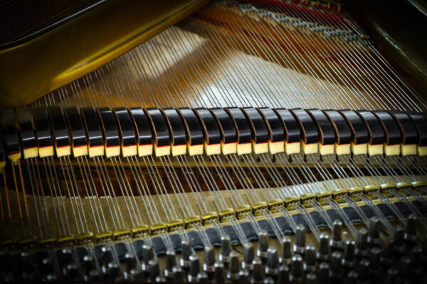 Piano Erard 1/4 de cola 17