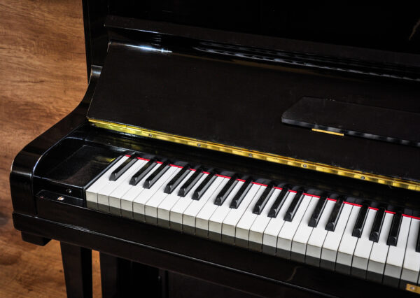 Bosendorfer 130 3