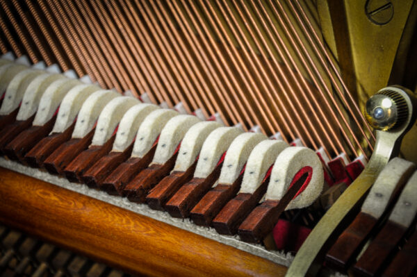 Steinway and sons Vertegrand 16