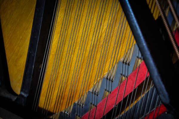 Steinway and sons Vertegrand 23