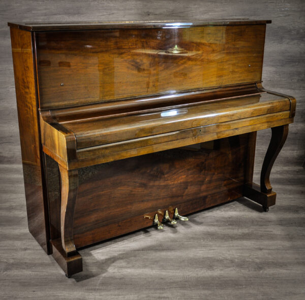 Piano Samick WG-5C 4