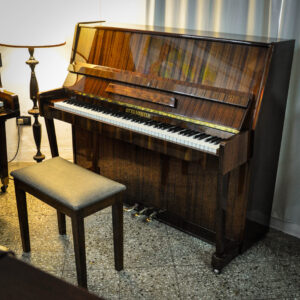 Piano Otto Meister (2)