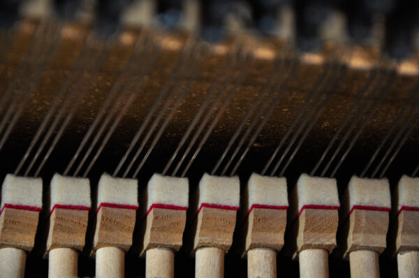 Wurlitzer minipiano 22