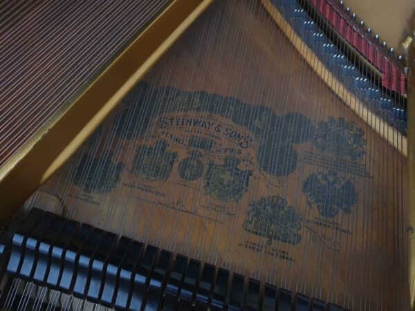 Steinway and Sons 1/4 de cola 10