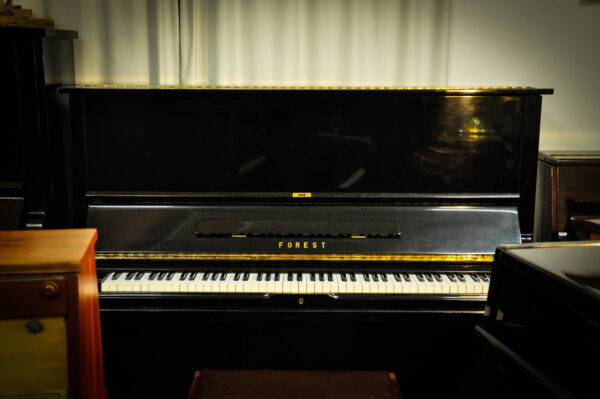 Piano Forest FU-55 2