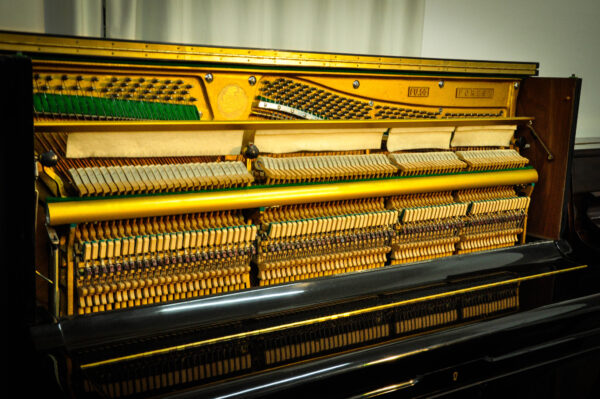 Piano Forest FU-55 3