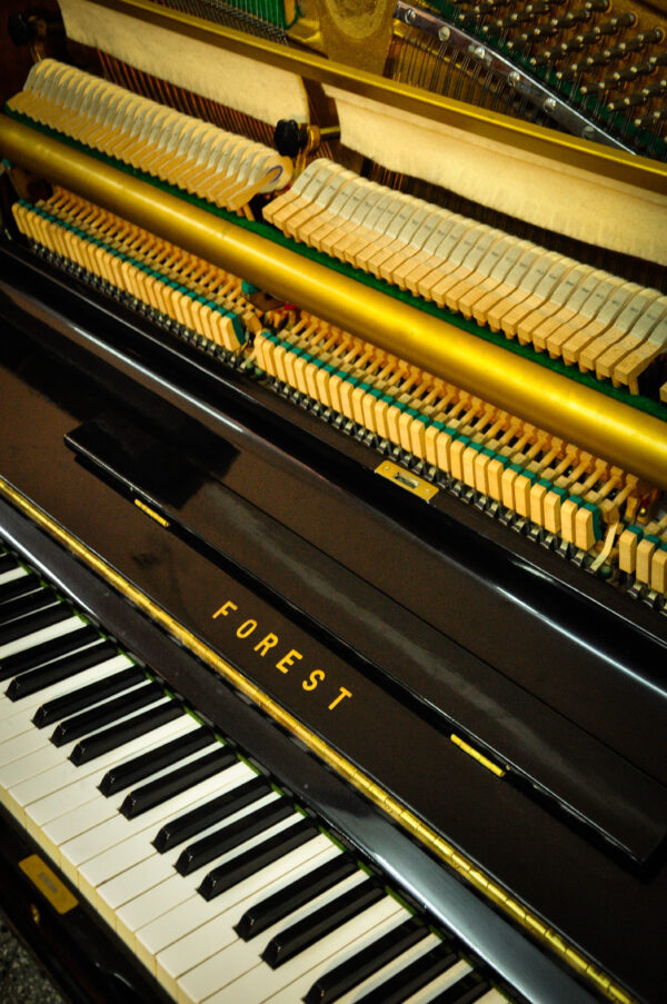 Piano Forest FU-55 4