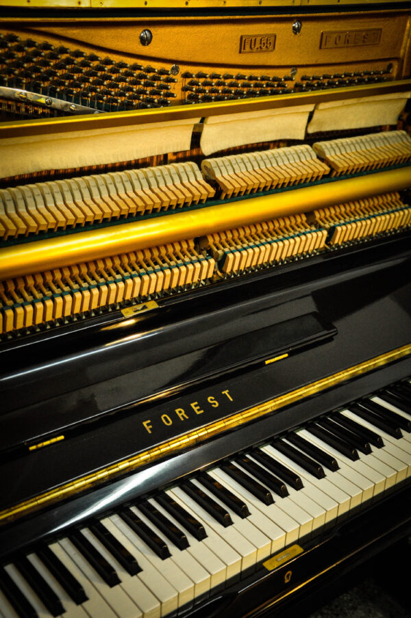 Piano Forest FU-55 5