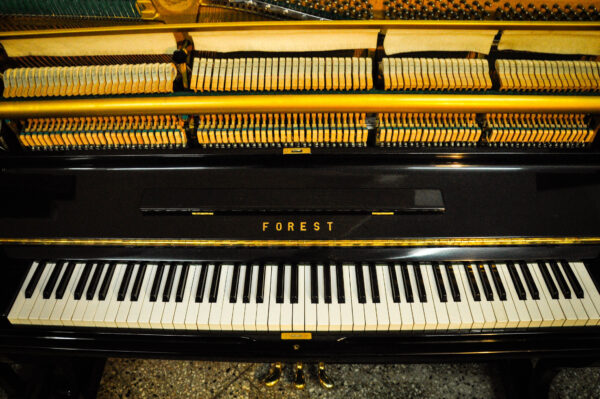 Piano Forest FU-55 9