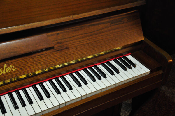 Munster piano 4