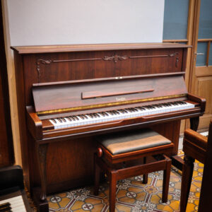 Piano Daewoo Saujin DW-6S