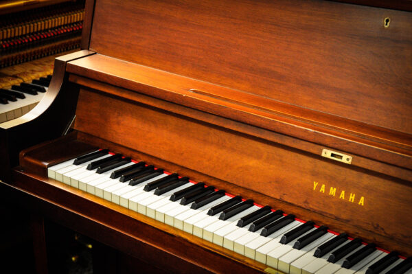 Piano Yamaha P-22