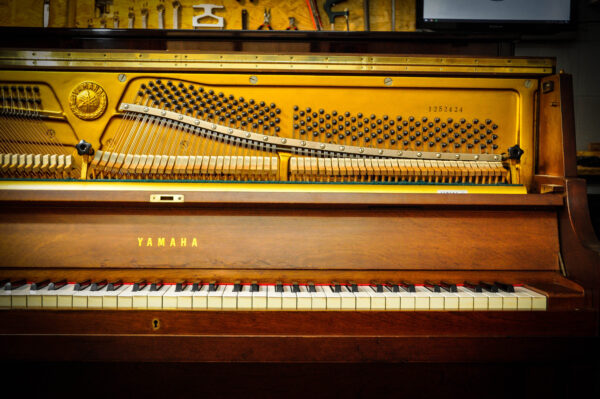 Piano Yamaha P-22