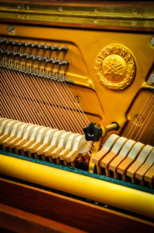 Piano Yamaha P-22