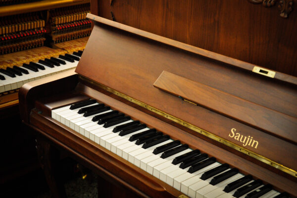 Piano Daewoo Saujin DW-6S