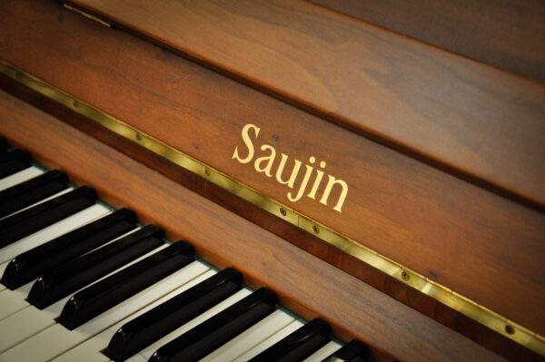 Piano Daewoo Saujin DW-6S