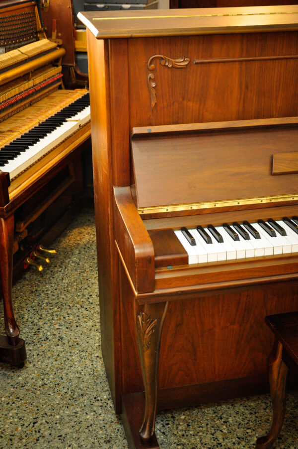 Piano Daewoo Saujin DW-6S