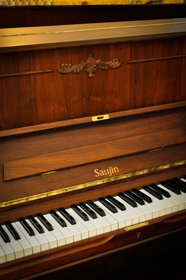 Piano Daewoo Saujin DW-6S