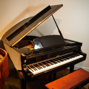 HYUNDAI G-80 DE COLA (169)