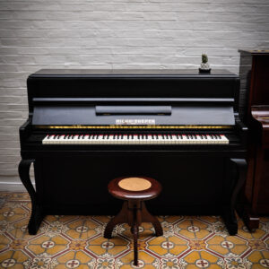 Piano Micro Breyer