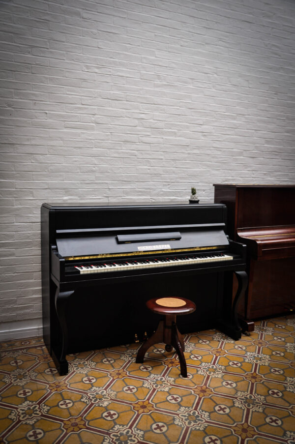 Piano Micro Breyer