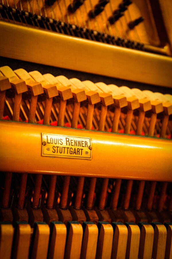 WERTHER (220) - Imagen 8