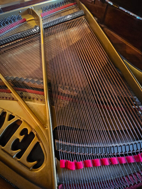 PLEYEL 1/4 DE COLA - Imagen 2