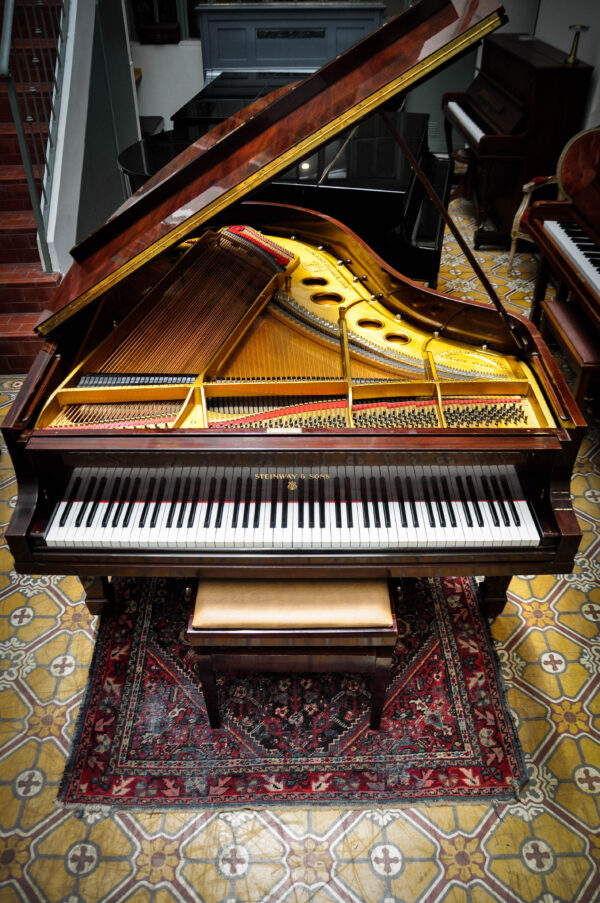 STEINWAY & SONS O-180 DE COLA - Imagen 9