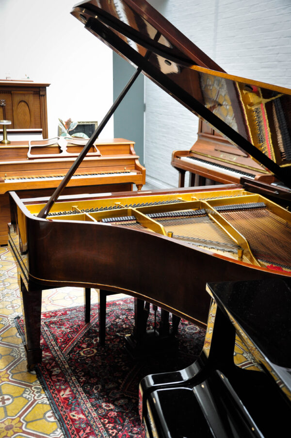 STEINWAY & SONS O-180 DE COLA - Imagen 17