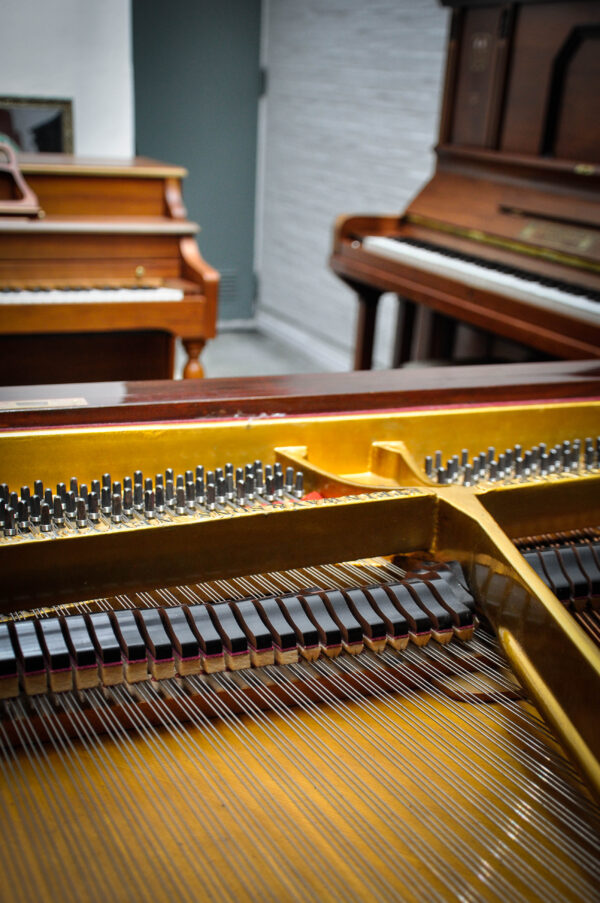 Steinway and Sons O 180 Piano de cola