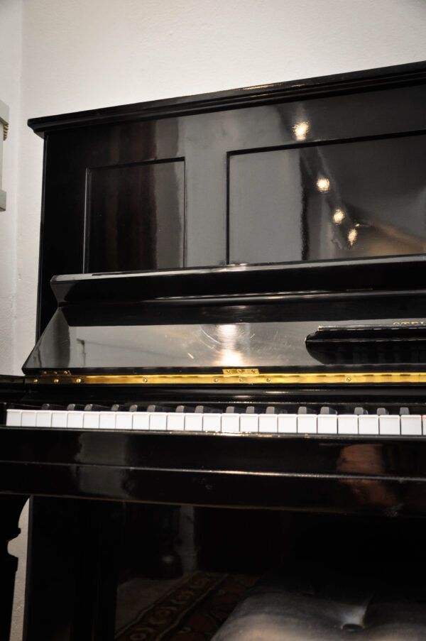 STEINWAY & SONS (216) - Imagen 5