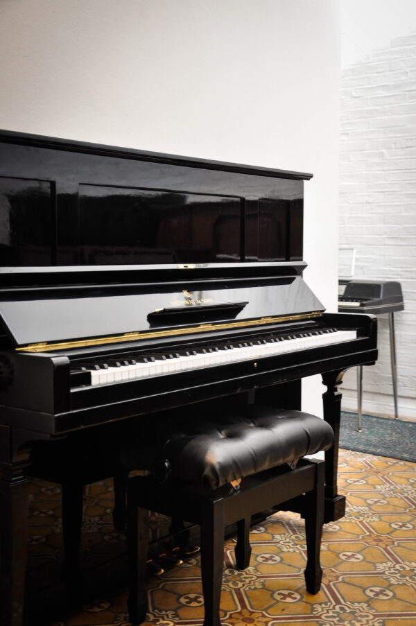 STEINWAY & SONS (216) - Imagen 8