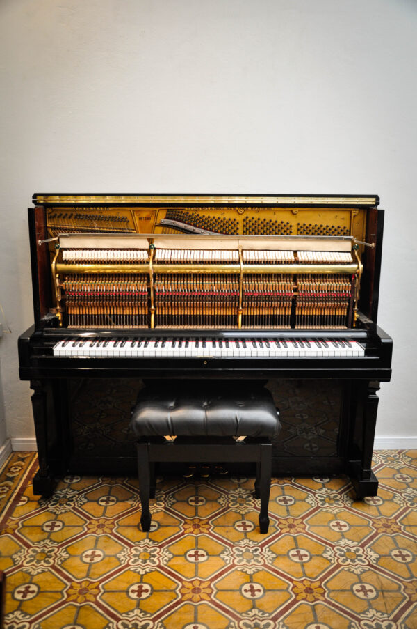 STEINWAY & SONS (216) - Imagen 9