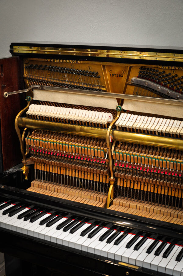STEINWAY & SONS (216) - Imagen 10