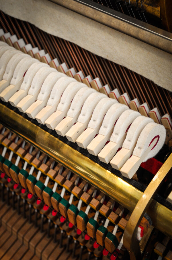 STEINWAY & SONS (216) - Imagen 11