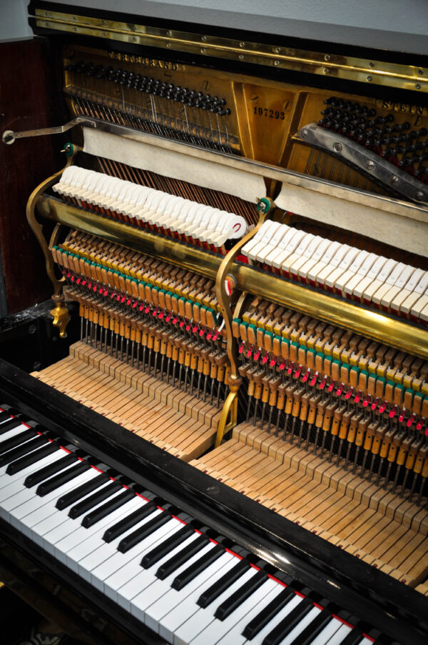 STEINWAY & SONS (216) - Imagen 15