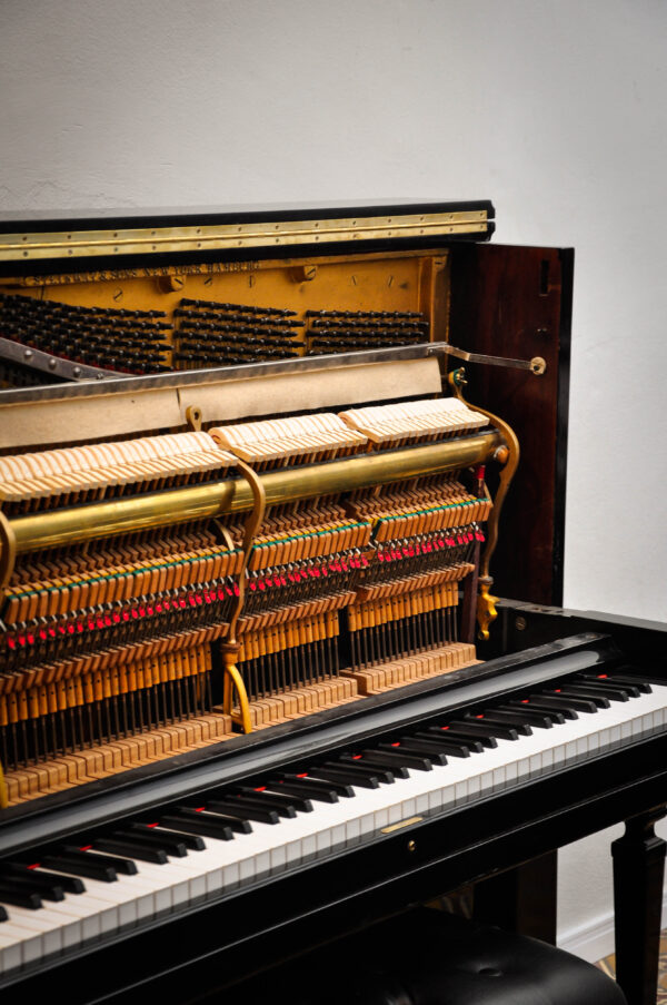 STEINWAY & SONS (216) - Imagen 16