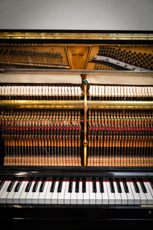 STEINWAY & SONS (216) - Imagen 17