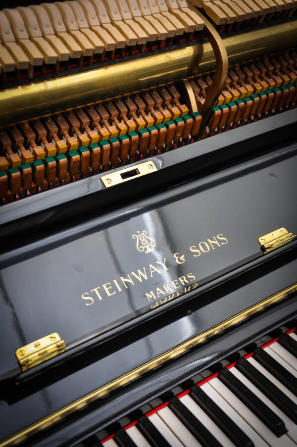 STEINWAY & SONS (216) - Imagen 18
