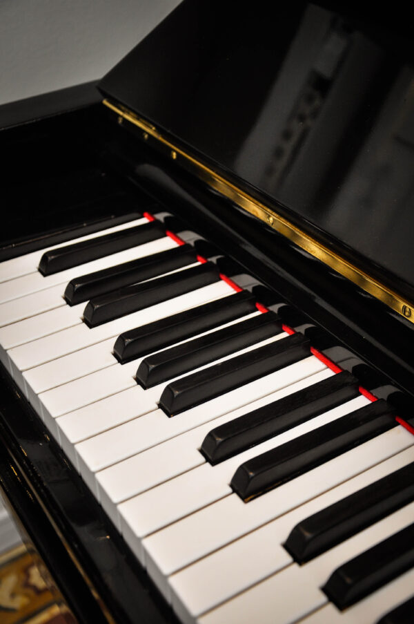 STEINWAY & SONS (216) - Imagen 20