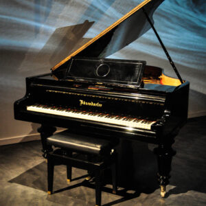 BÖSENDORFER 1/4 DE COLA (120)