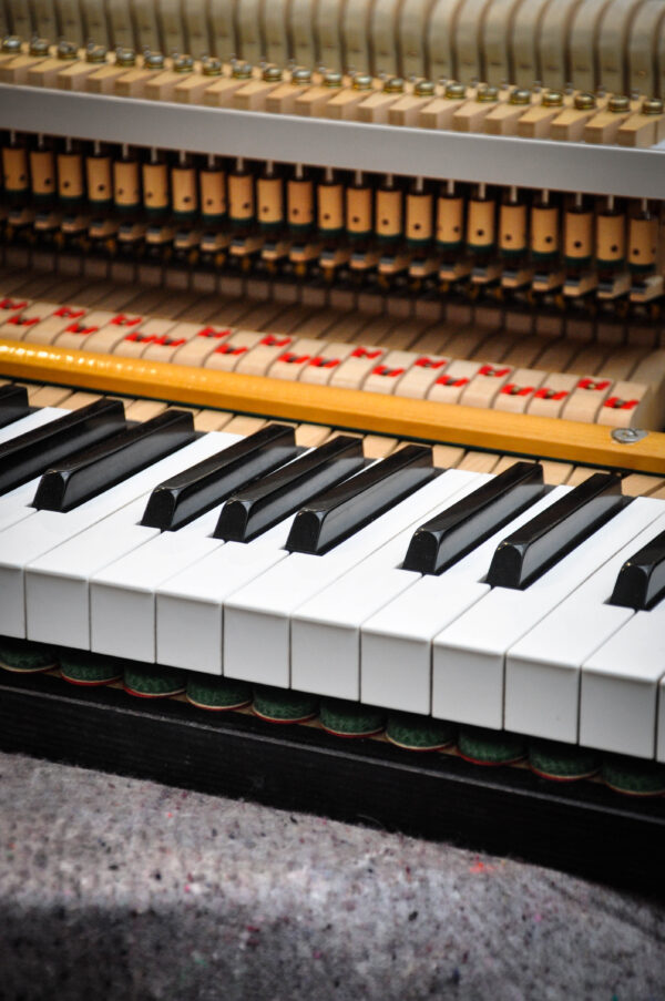 Piano de cola Kawai KG-1C Japón