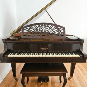 GAVEAU DE COLA (OFERTA)