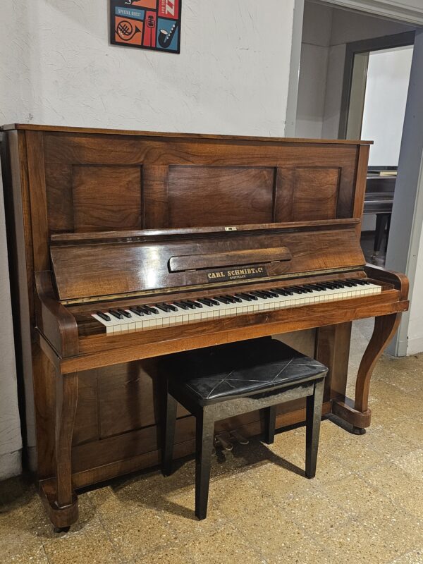 CARL SCHMIDT (OFERTA) - Imagen 2