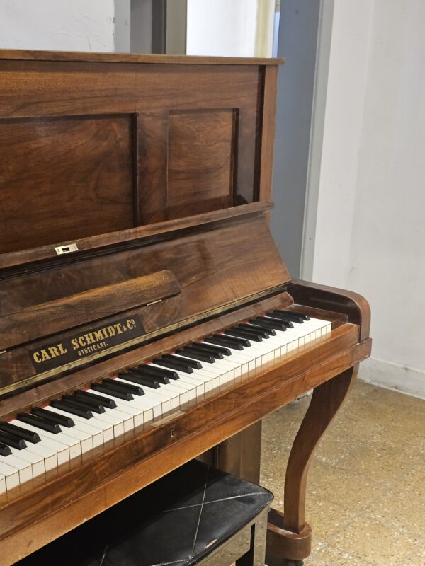 CARL SCHMIDT (OFERTA) - Imagen 4
