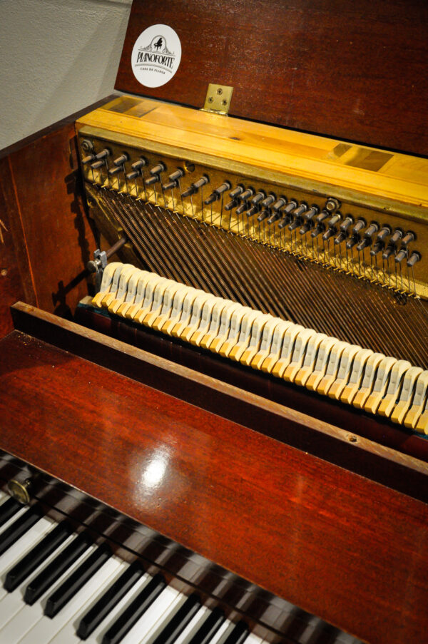 Grand Betsy Lynn piano