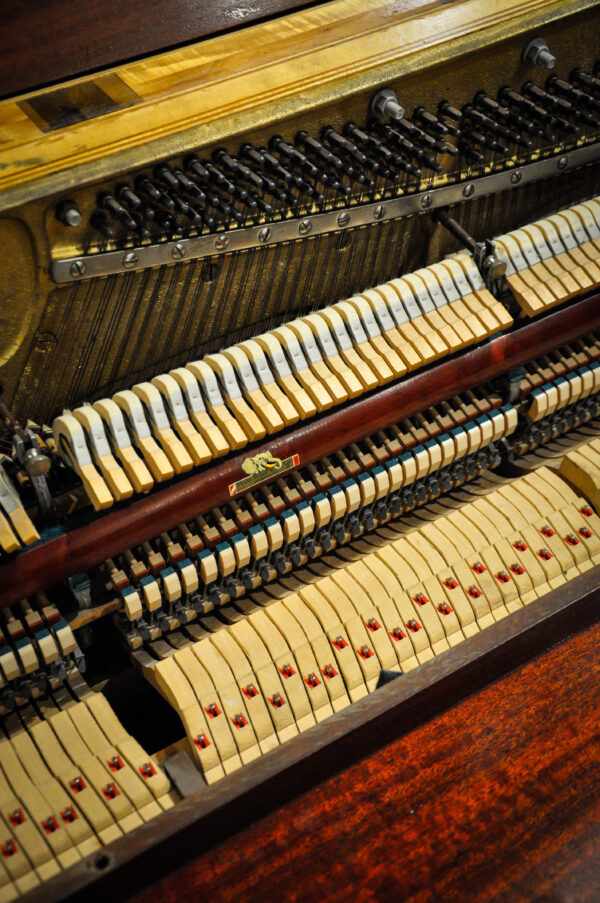Grand Betsy Lynn piano